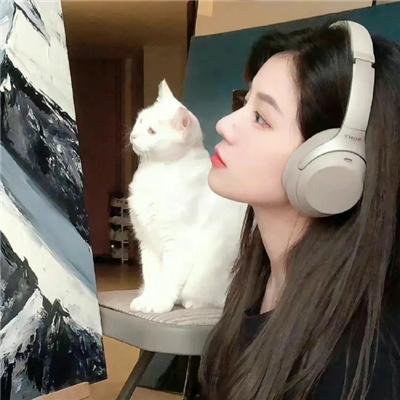 狗的生涯